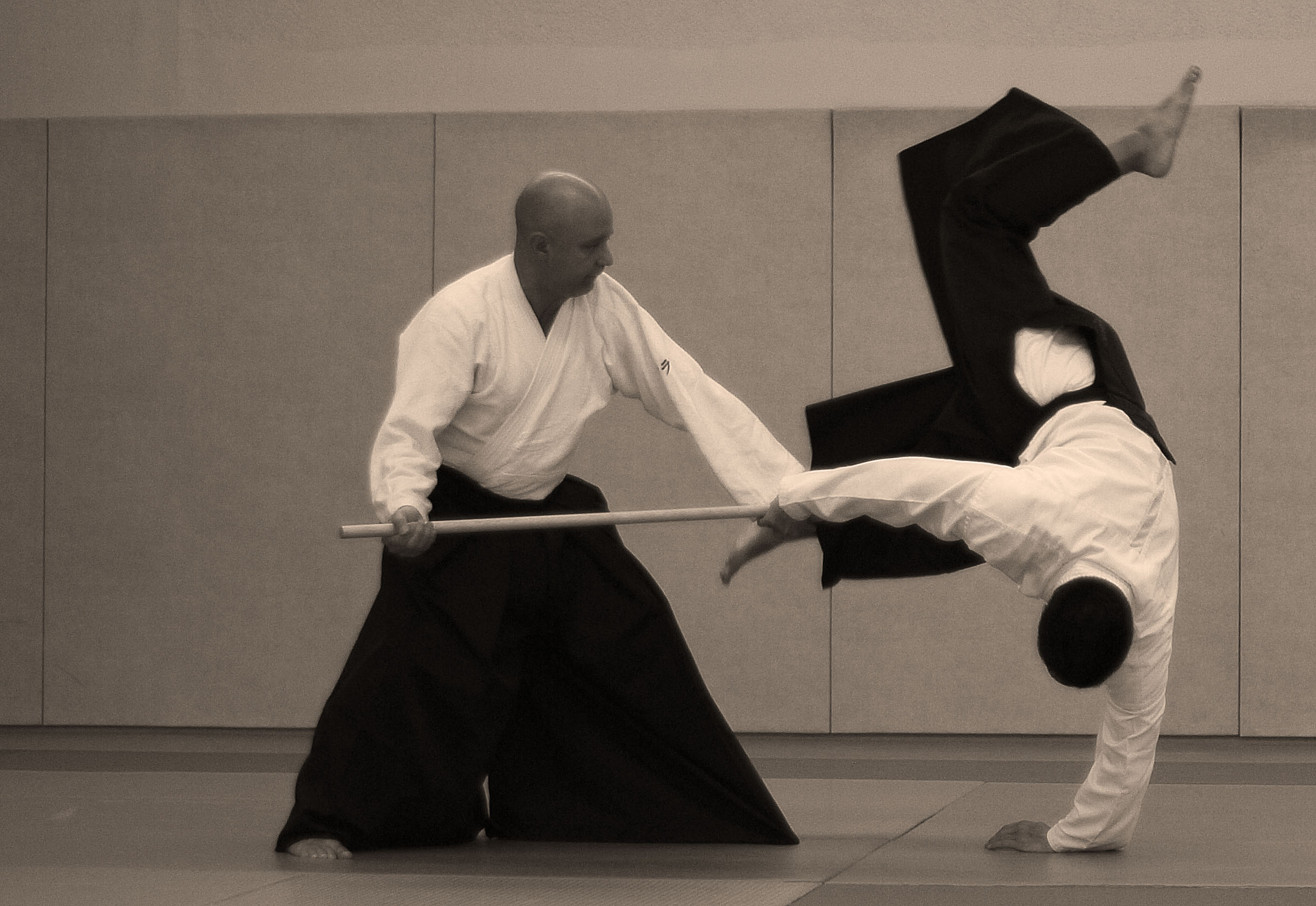 LIMOGES AIKIDO